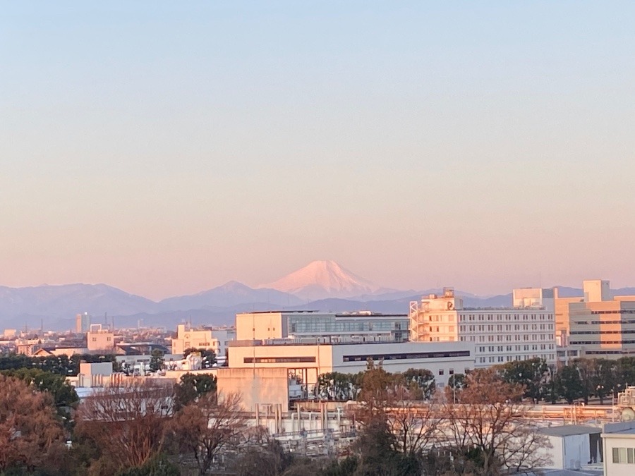 今朝の富士山