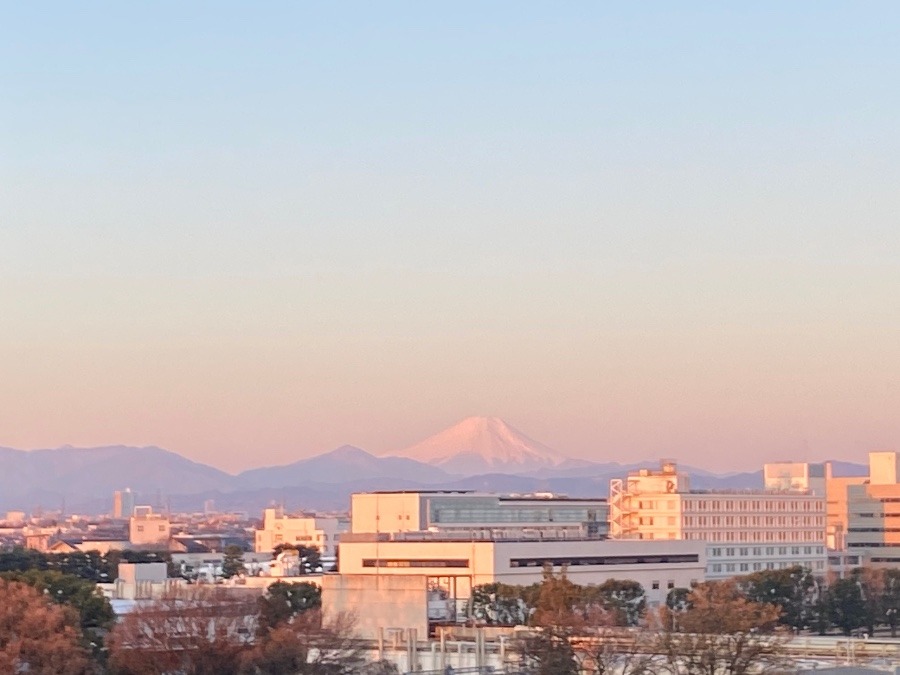 今朝の富士山