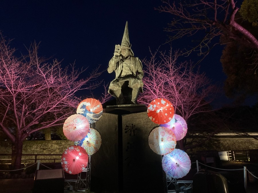 熊本城春の夜間公開