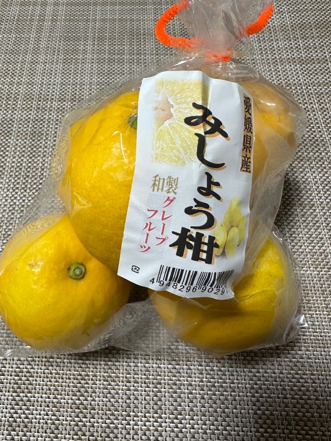 みしょう柑🍊