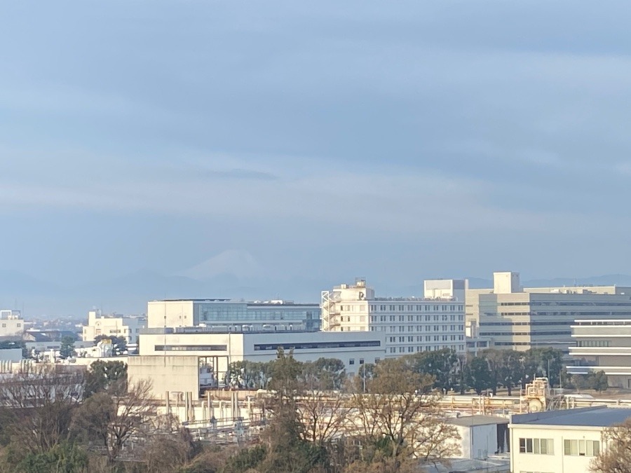 今朝の富士山