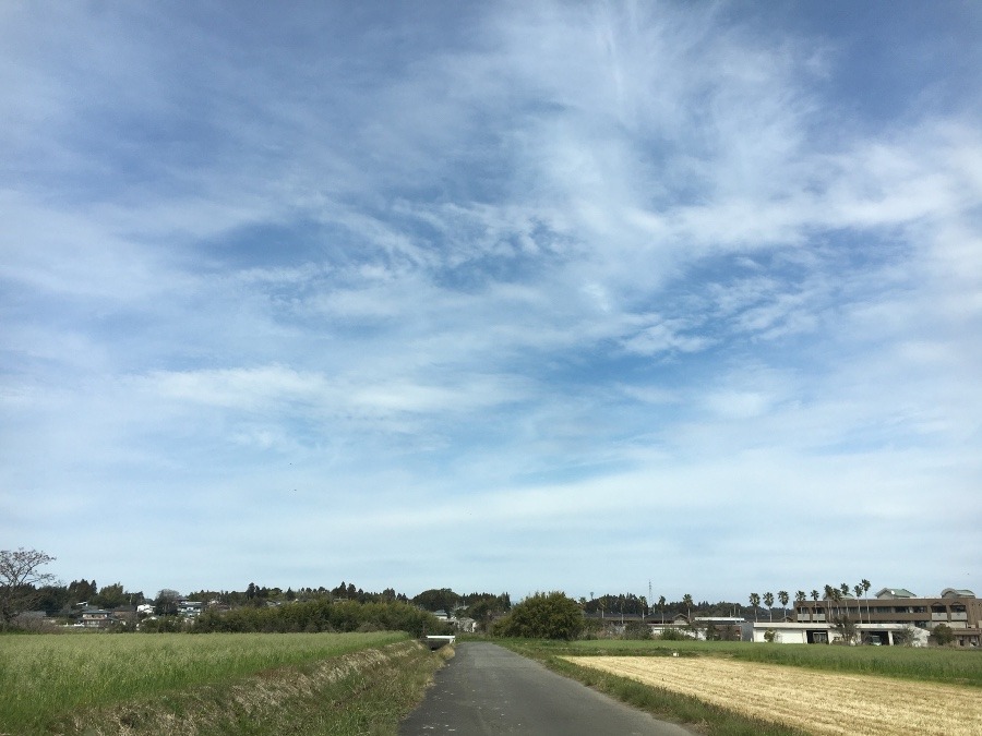 ⭕️空部→ 今日の空（≧∇≦）‼️1140.