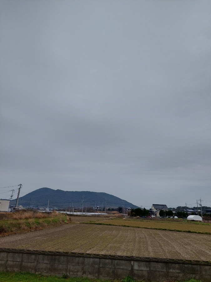 おはようございます3/17
