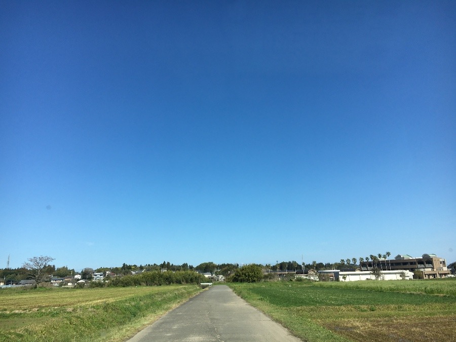 ⭕️空部→ 今日の空（≧∇≦）‼️1164.