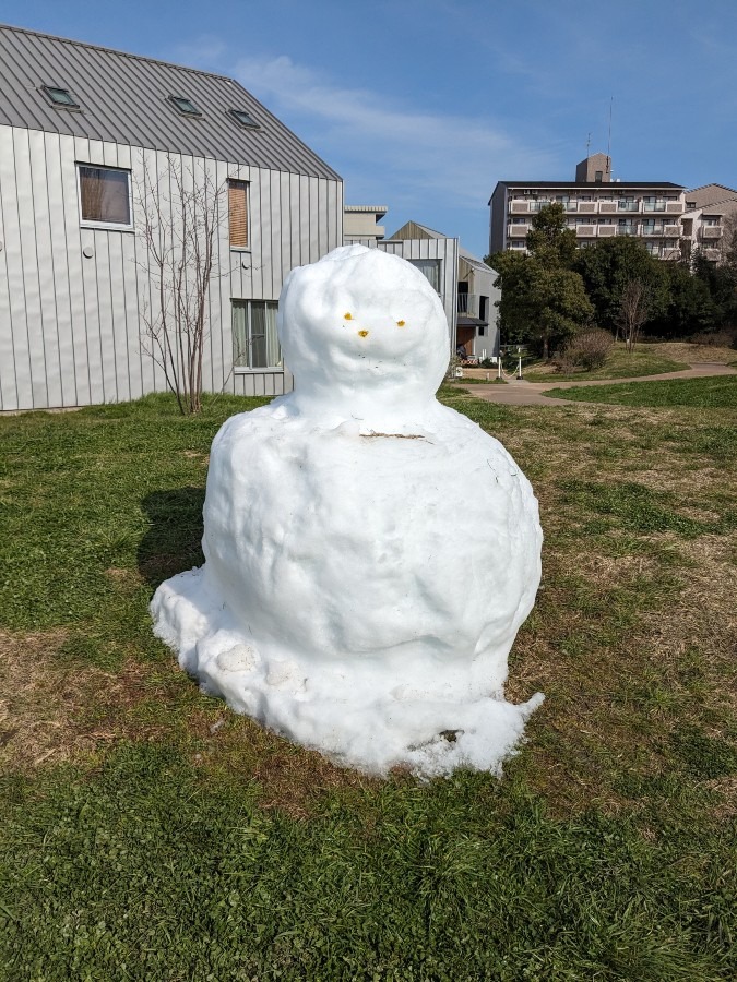 雪だるま☃