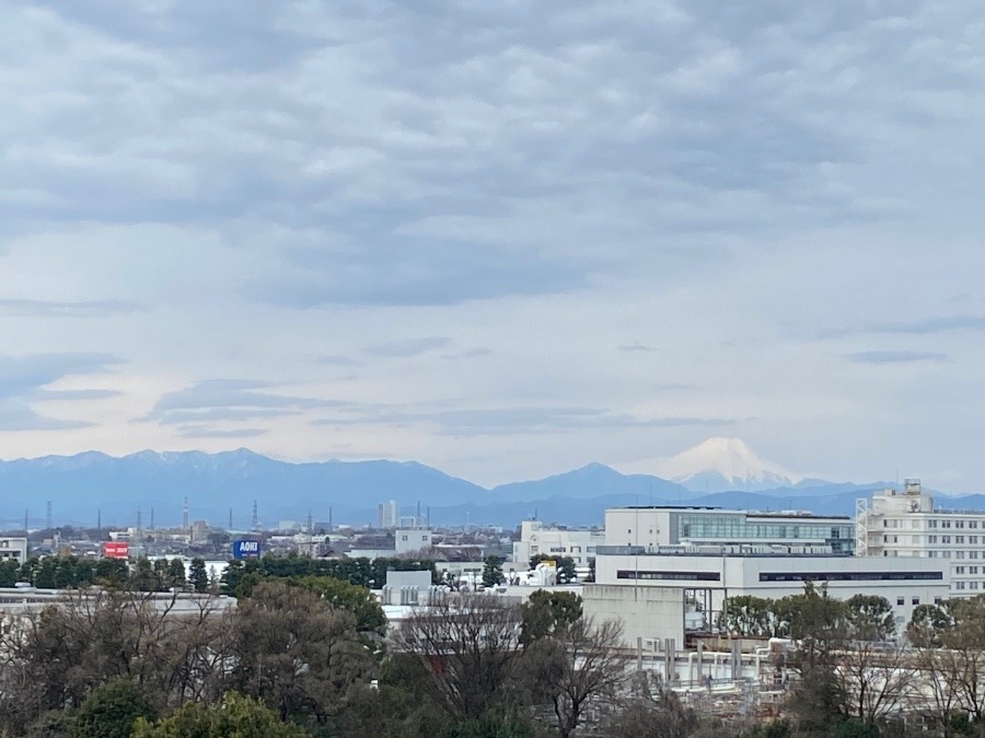 今朝の富士山