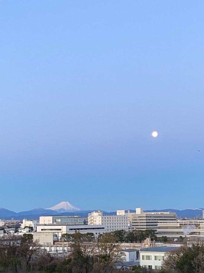 今朝の富士山