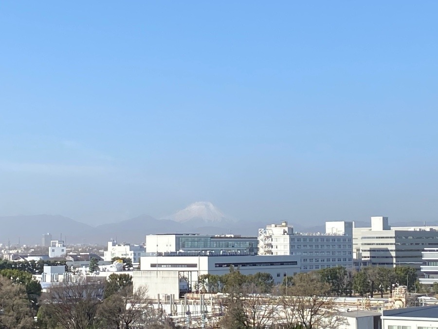 今朝の富士山