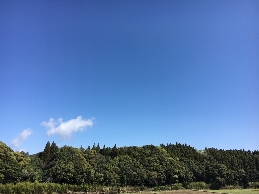 ⭕️空部→ 今日の空（≧∇≦）‼️1162.