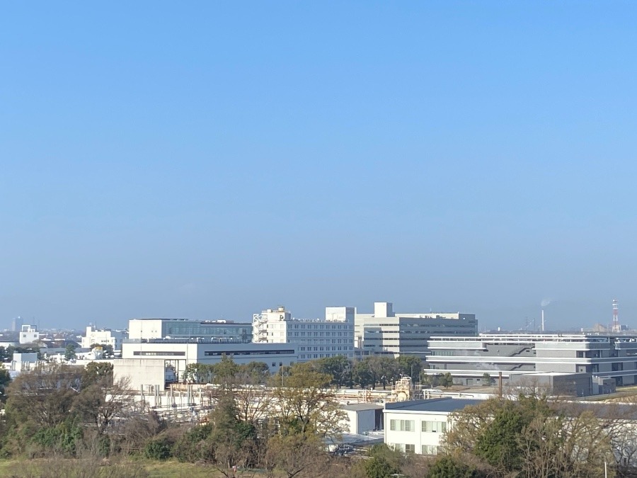 今朝の富士山