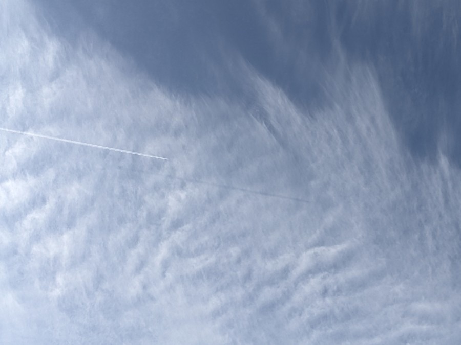 飛行機雲の影？