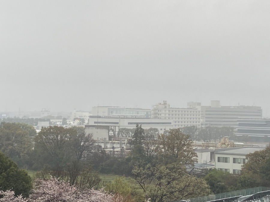 今朝の富士山