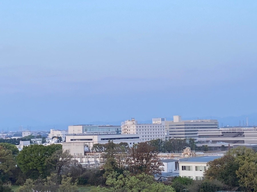 今朝の富士山