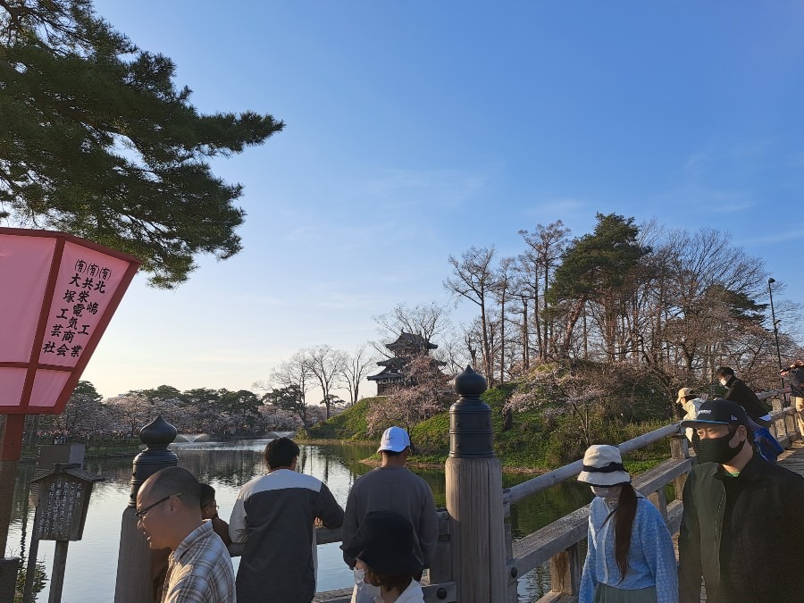 観桜会開催中