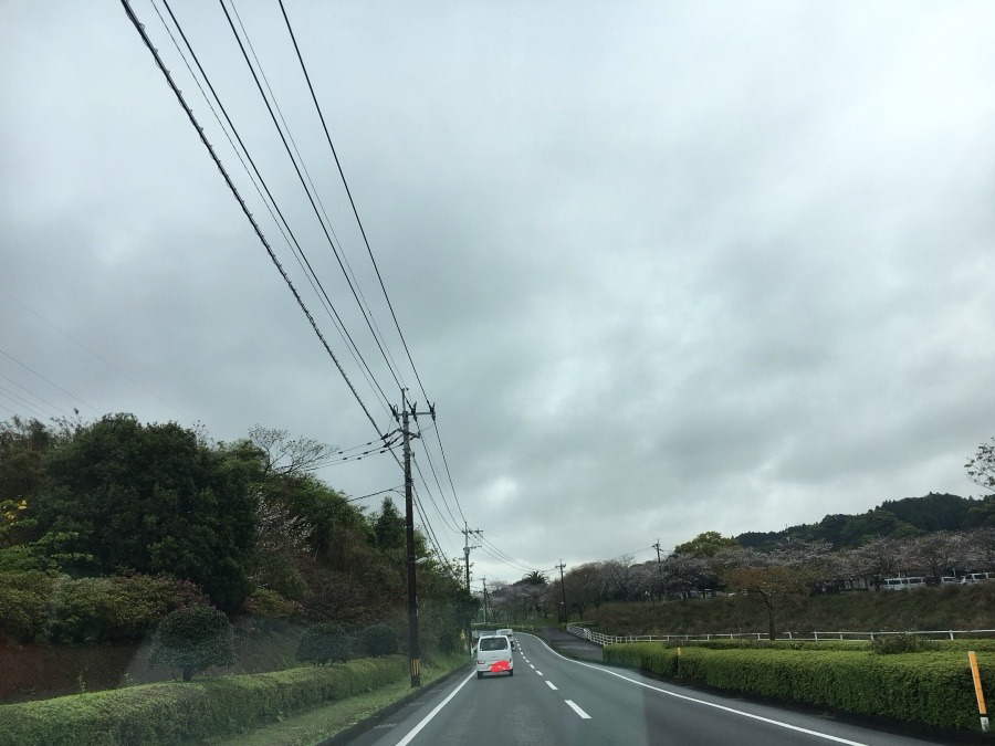 ⭕️空部→ 今日の空（≧∇≦）‼️1176.