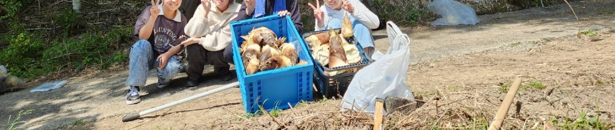 昨日の竹の子掘り