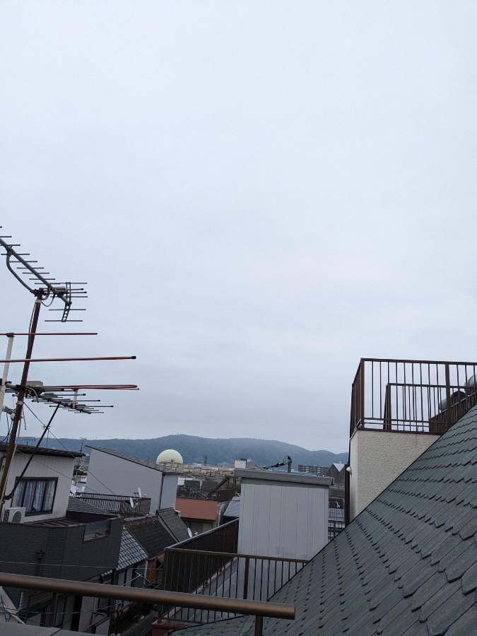 おはようございます❢