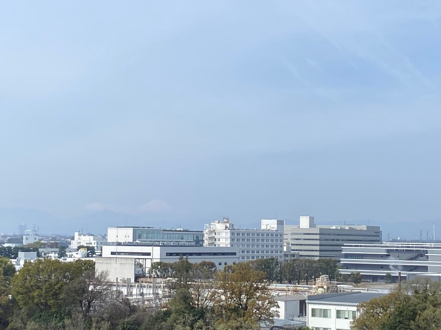 今朝の富士山