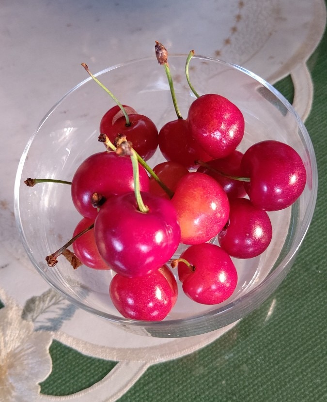 ハウスの🍒戴きました～