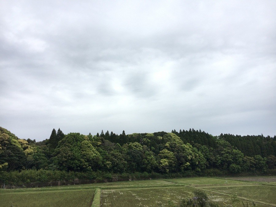 ⭕️空部→ 今日の空（≧∇≦）‼️1195.