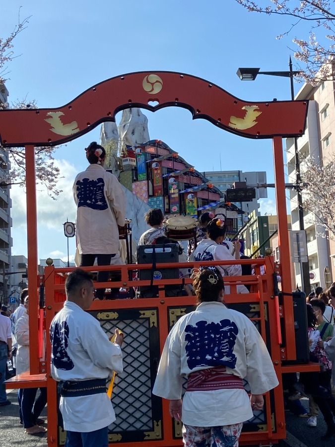 日立桜まつりの山車の向こうに日立風流物