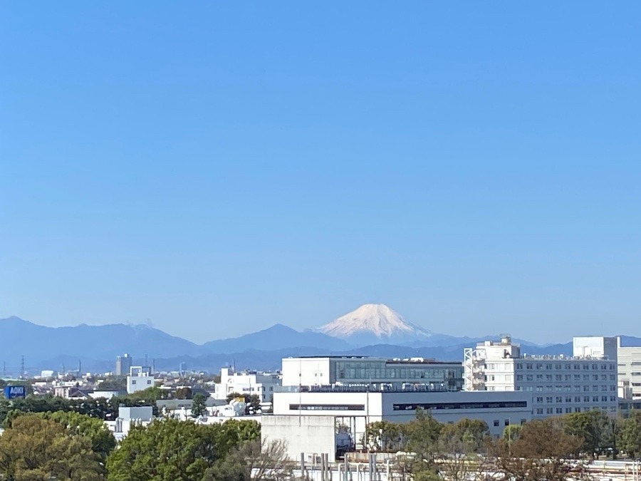 今朝の富士山