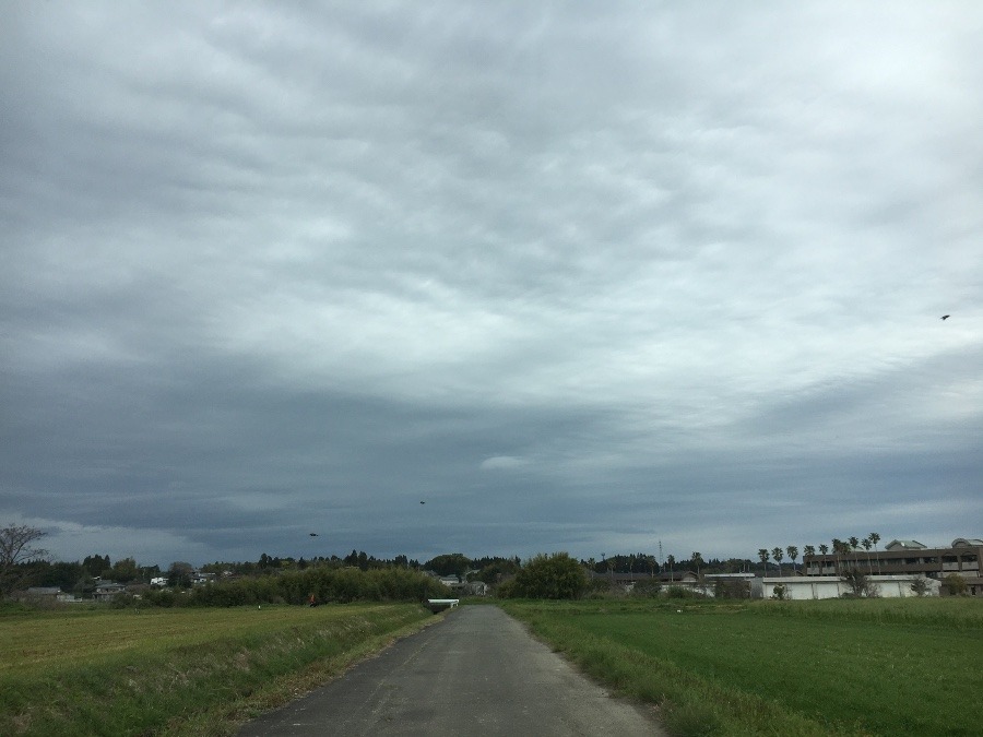 ⭕️空部→ 今日の空（≧∇≦）‼️1174.