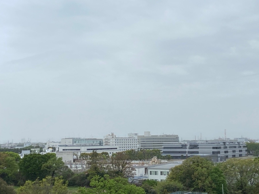 今朝の富士山