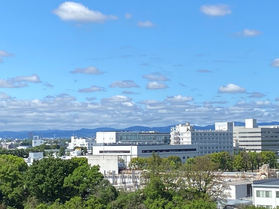 今朝の富士山