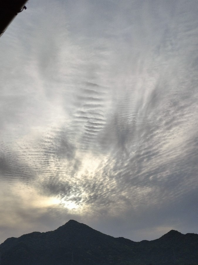 変わった朝雲でした