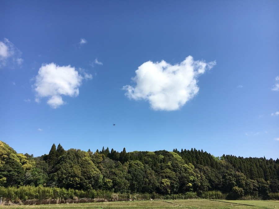 ⭕️空部→ 今日の空（≧∇≦）‼️1172.