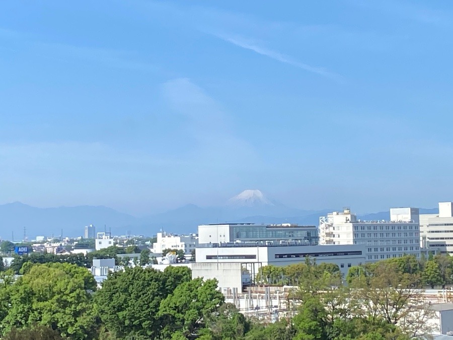 今朝の富士山