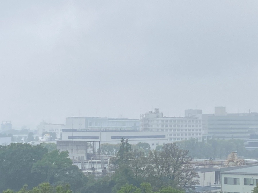 今朝の富士山