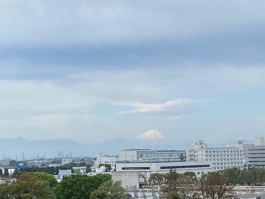 今朝の富士山