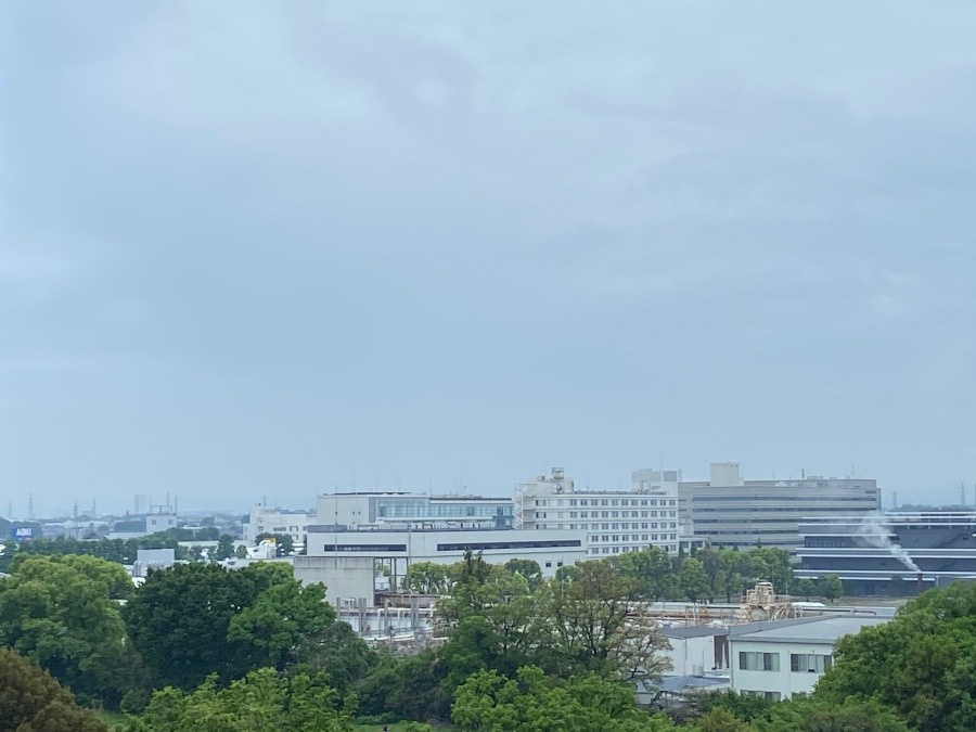 今朝の富士山