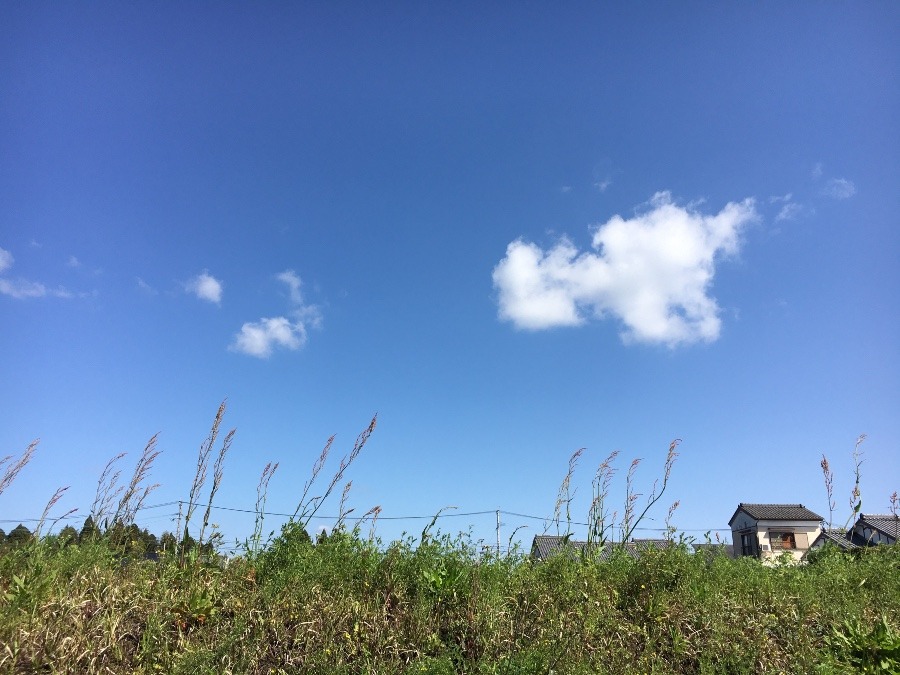 ⭕️空部→ 今日の空（≧∇≦）‼️1187.