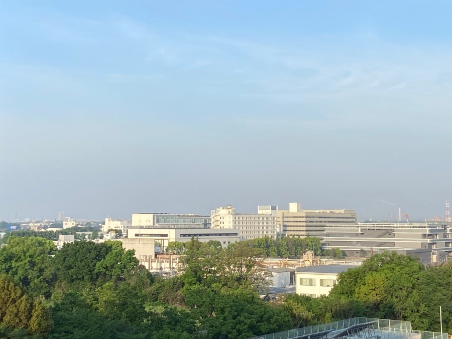 今朝の富士山