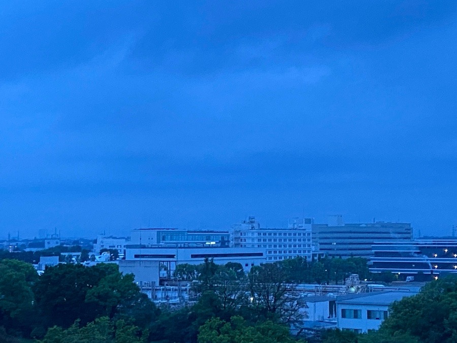 今朝の富士山