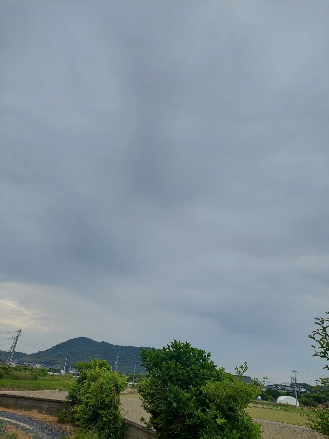 おはようございます5/23