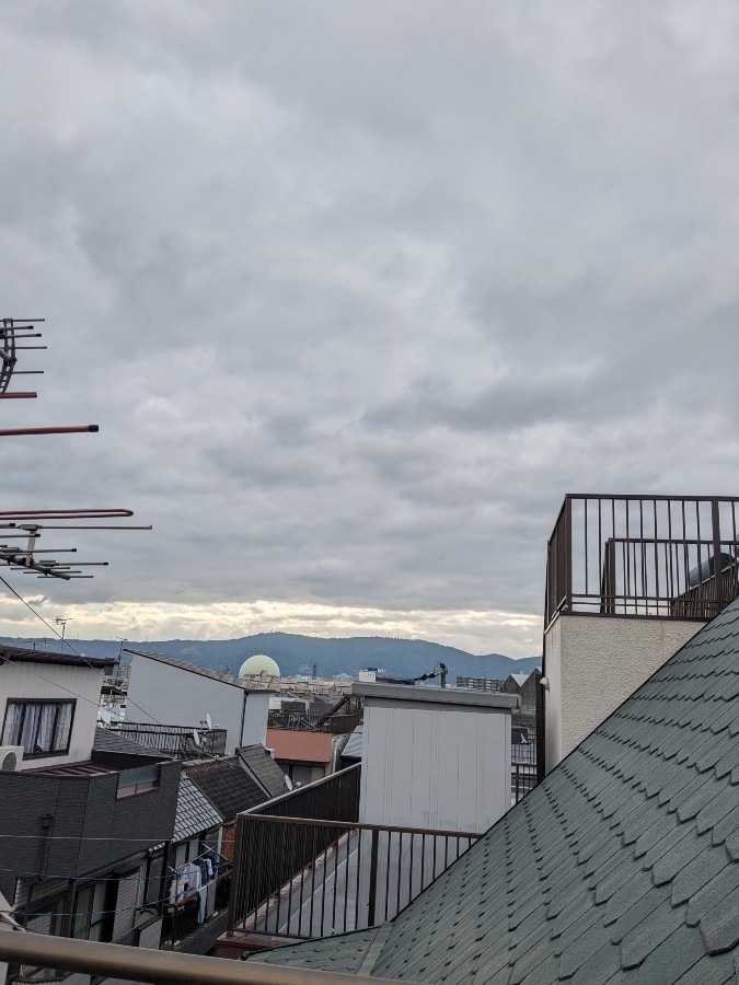 おはようございます❢