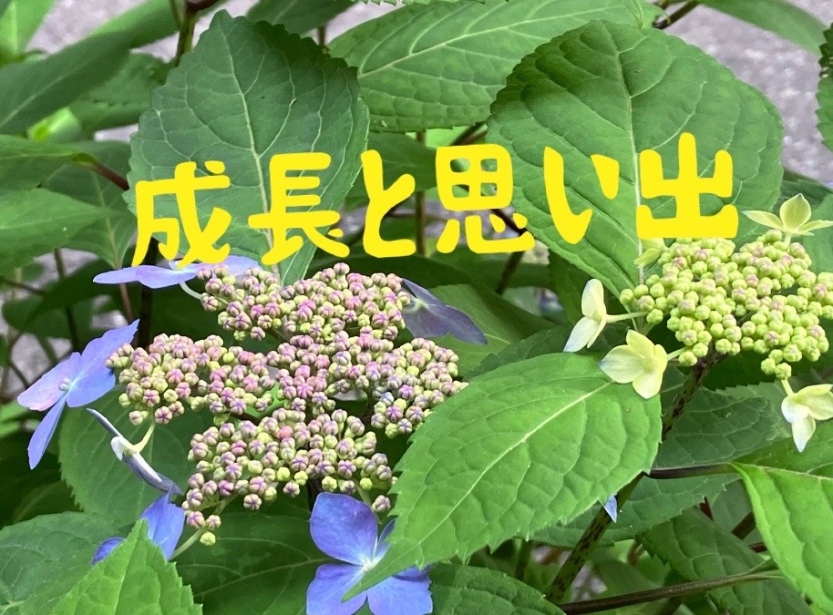 ガンバることと