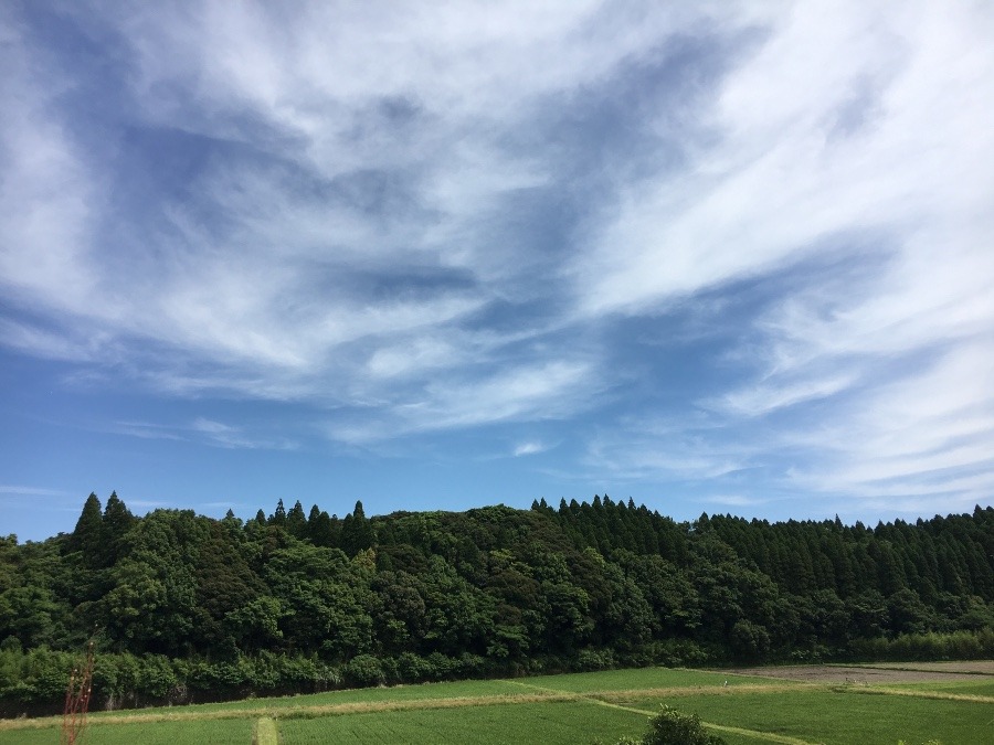 ⭕️空部→ 今日の空（≧∇≦）‼️1254.