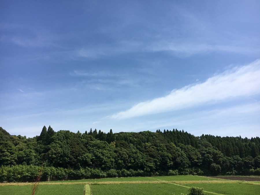 ⭕️空部→ 今日の空（≧∇≦）‼️1258.