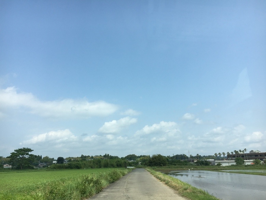 ⭕️空部→ 今日の空（≧∇≦）‼️1268.