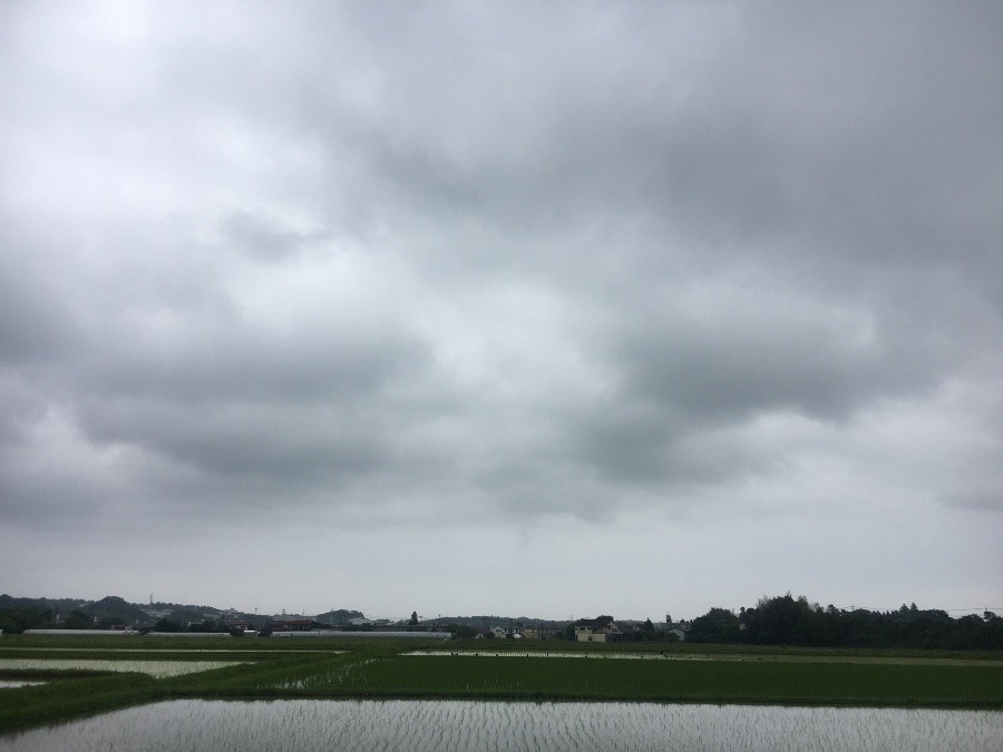 ⭕️空部→ 今日の空（≧∇≦）‼️1229.