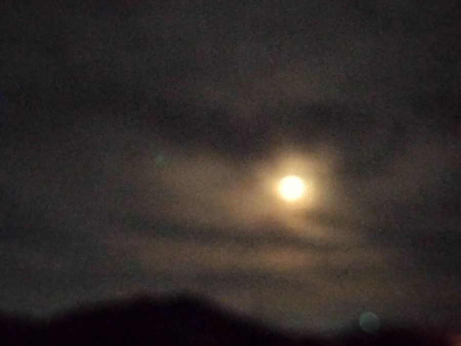 やっと見えました🌕