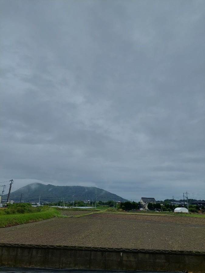 おはようございます5/27