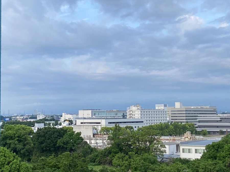 今朝の富士山