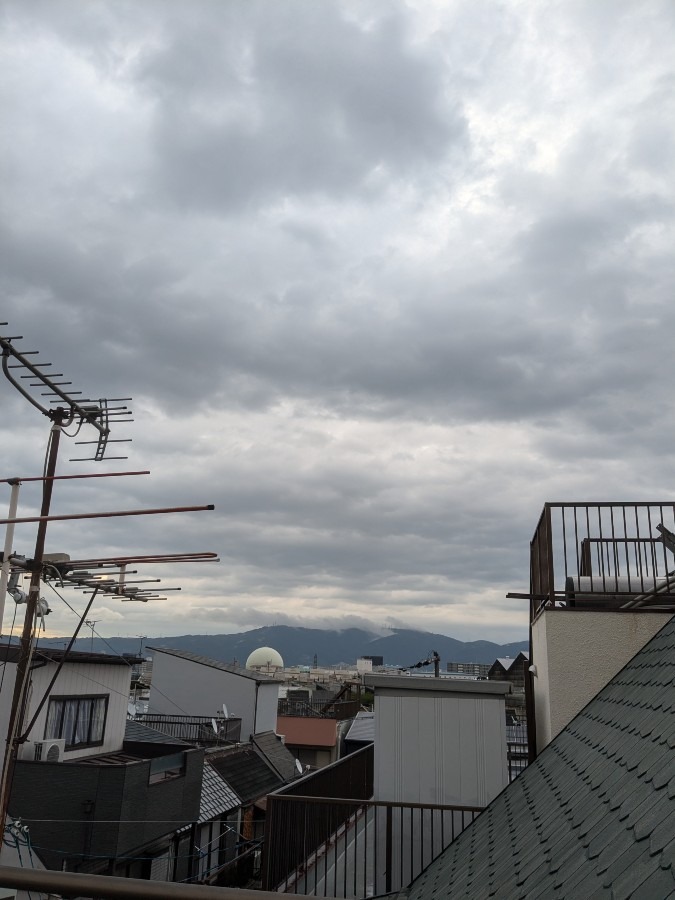 おはようございます❢