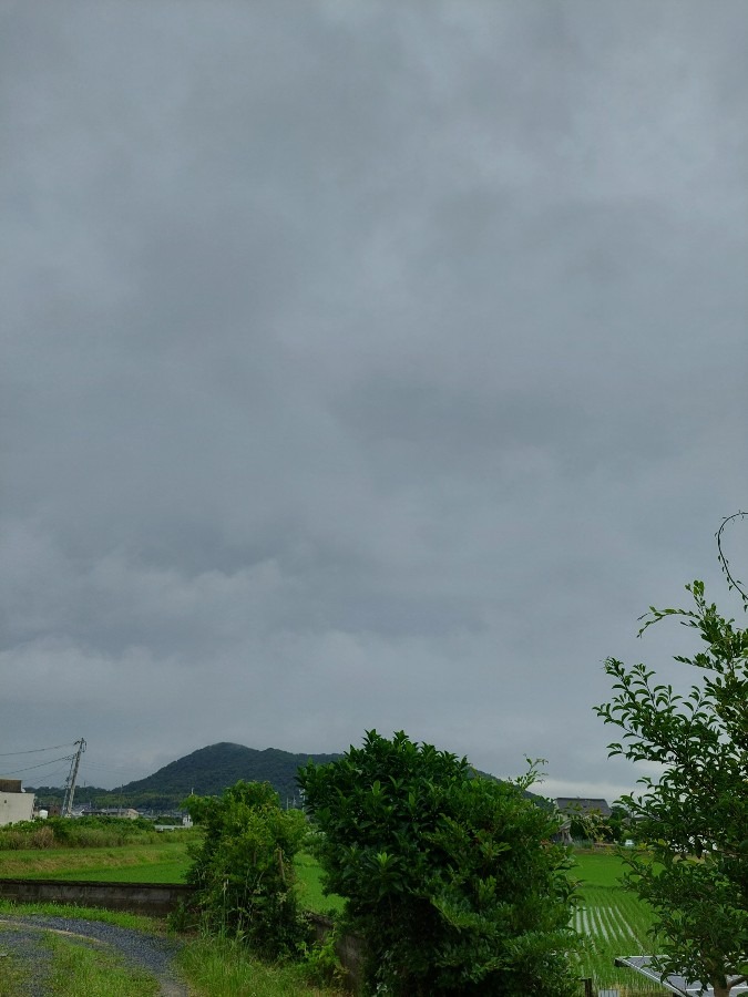 おはようございます6/29